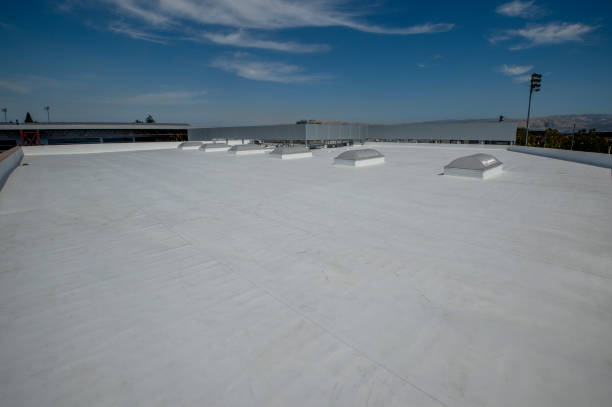 Best Roof Maintenance and Cleaning  in Ridgeland, SC