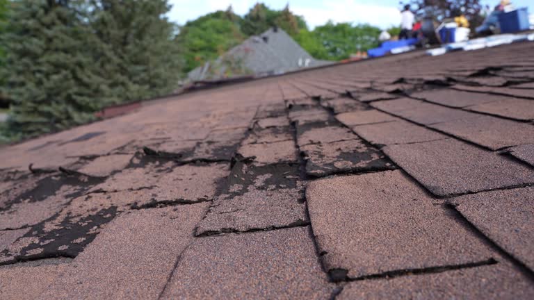 Best Sheet Metal Roofing  in Ridgeland, SC